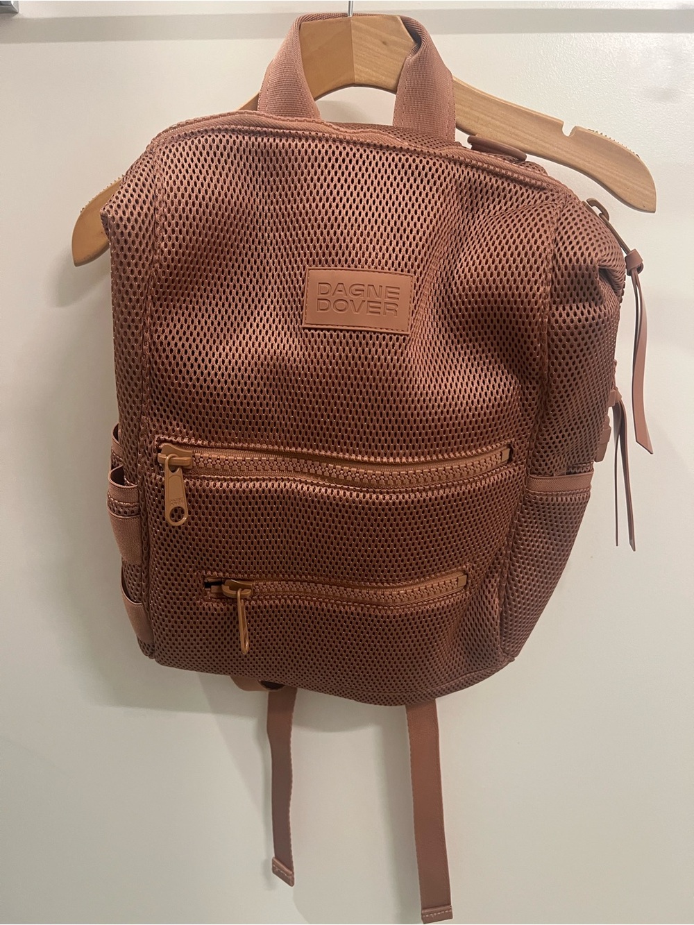 Dagne Dover Men's Mesh Backpack in Dusty Rose